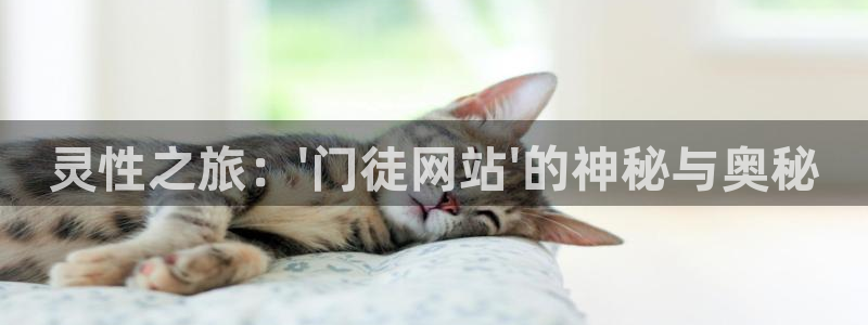 www.乐天堂fun体育.com：灵性之旅：\'门徒网站\'的神秘与奥秘