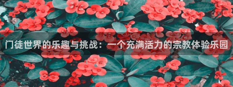 乐天堂fun登录：门徒世界的乐趣与挑战：一个充满活力的宗教体验乐园