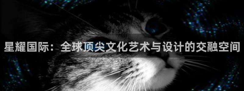 乐天堂fun登录界面入口：星耀国际：全球顶尖文化艺术与设计的交融空间