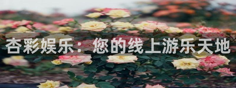 乐天堂fun体育注册平台：杏彩娱乐：您的线上游乐天地