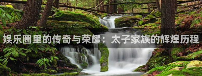 乐天堂fun2注册：娱乐圈里的传奇与荣耀：太子家族的辉煌历程