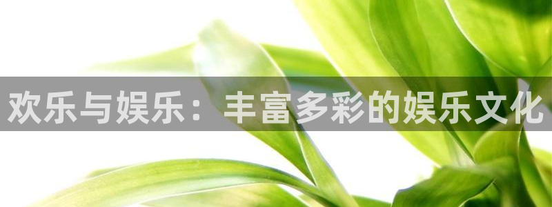 成都乐天堂fun电子有限公司：欢乐与娱乐：丰富多彩的娱乐文化