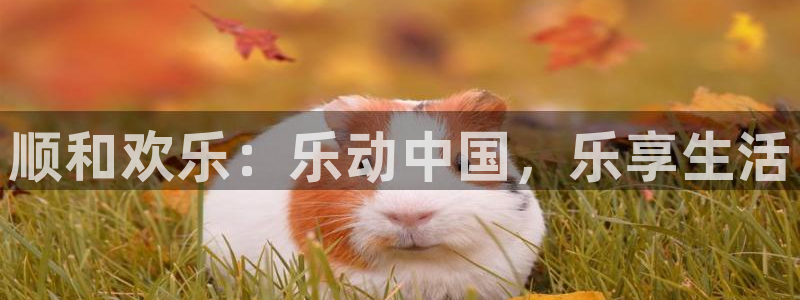 乐天堂fun平台招商：顺和欢乐：乐动中国，乐享生活
