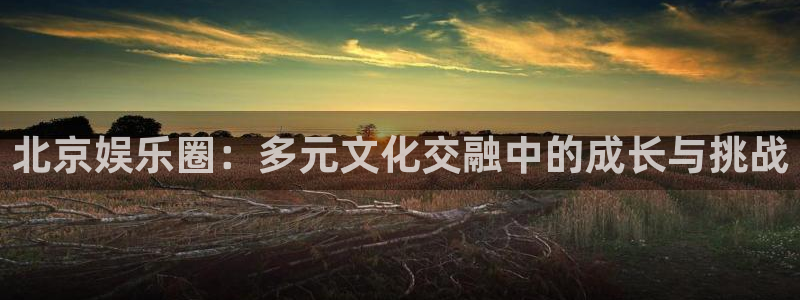 乐天堂fun体育2：北京娱乐圈：多元文化交融中的成长与挑战