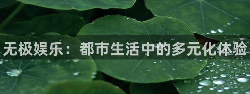 乐天堂fun平台在线注册：无极娱乐：都市生活中的多元化体验
