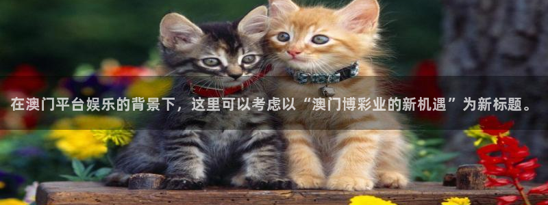 乐天堂fun体育凯捷平台注册：在澳门平台娱乐的背景下，这里可以考虑以“澳门博彩业