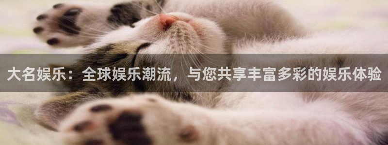 乐天堂fun体育官网登录：大名娱乐：全球娱乐潮流，与您共享丰富多彩的娱乐体验
