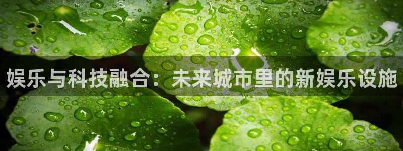 乐天堂fun体育官网入口登录：娱乐与科技融合：未来城市里的新娱乐设施