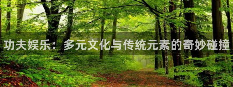 乐天堂fun平台：功夫娱乐：多元文化与传统元素的奇妙碰撞