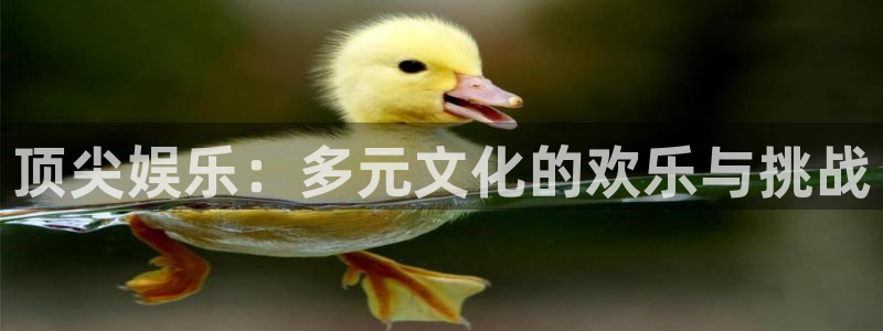 乐天堂fun2官网：顶尖娱乐：多元文化的欢乐与挑战
